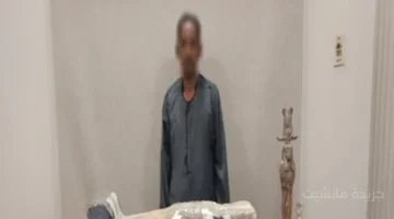 متحف داخل منزله.. تفاصيل ضبط كنز أثري يضم 533 قطعة قبل بيعه في بني سويف 1